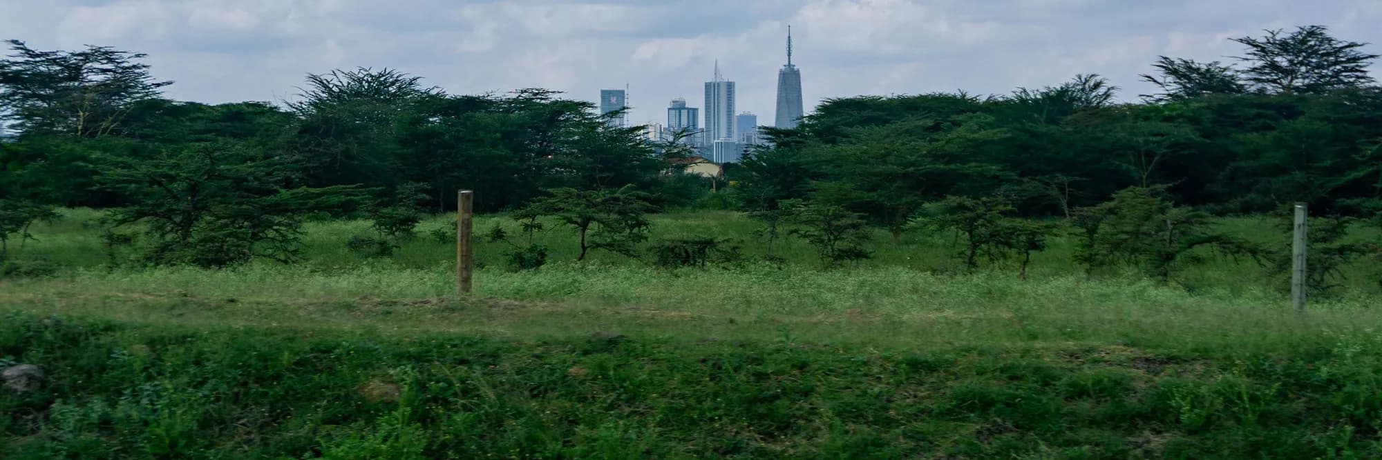 Nairobi's skyline seen across the grassland of Nairobi National Park