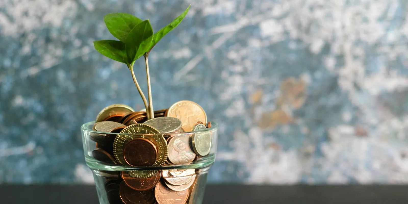 A small green plant growing out of a glass full of coins
